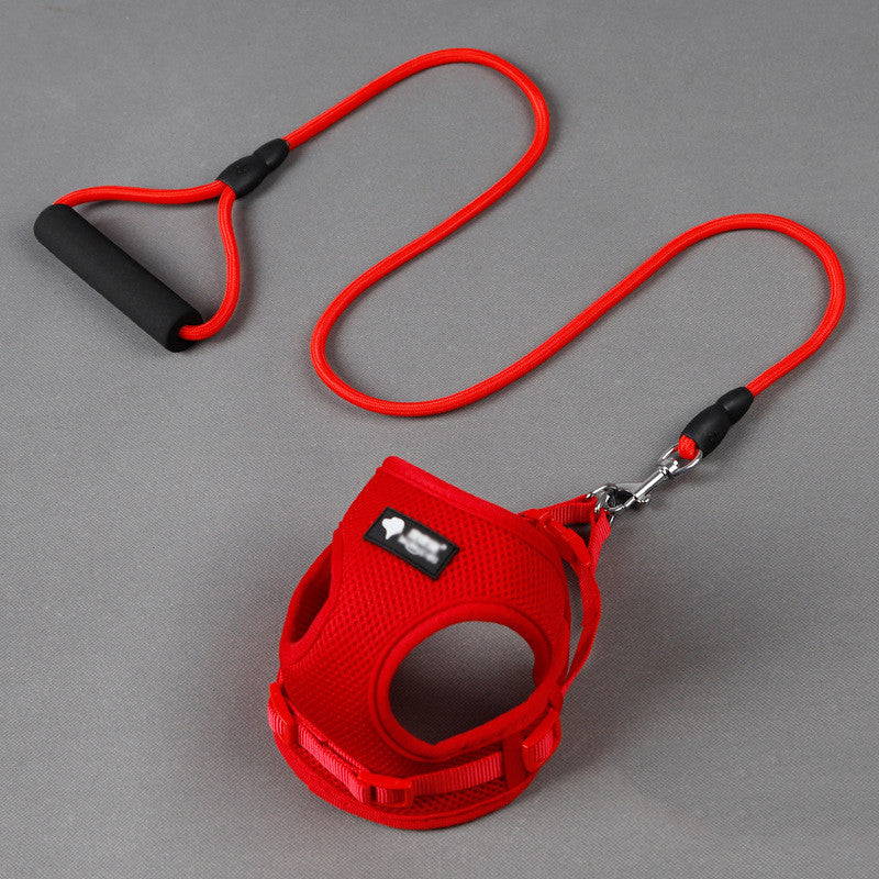 Dog Harness with Leash