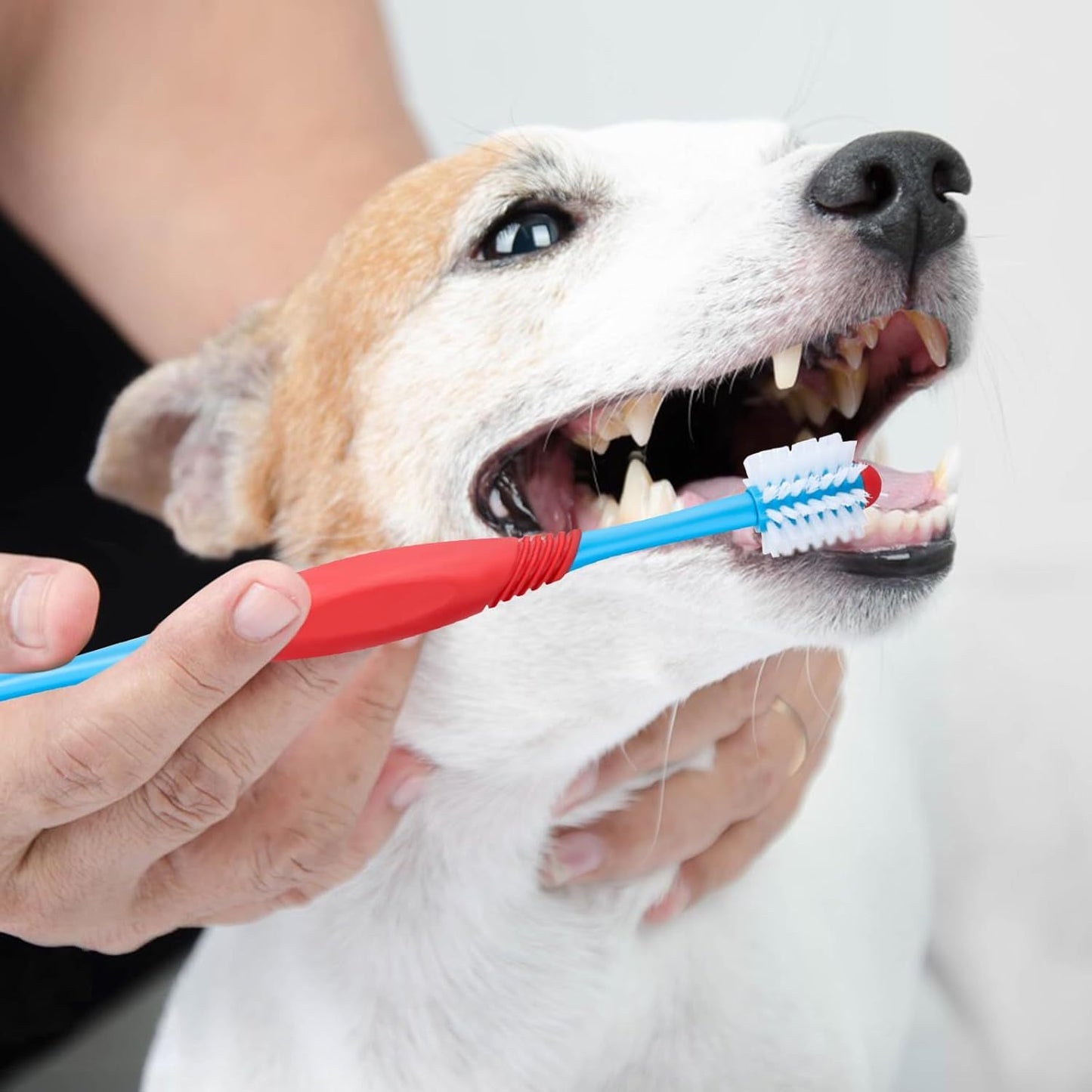 Dog Toothbrush 360 Degree Dog Tooth Brush, Dual Head Dog Tooth Brushing Kit Non Slip Toothbrush For Dogs And Cat Teeth Clean Pet Toothbrush Dental Care