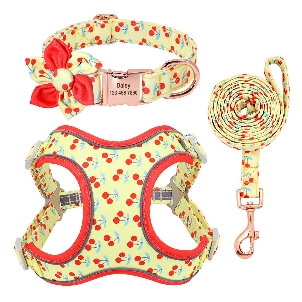 Dog Collar Lead and Harness