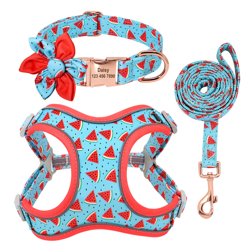 Dog Collar Lead and Harness