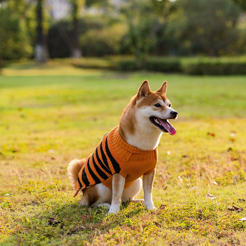 Halloween Dog Sweaters