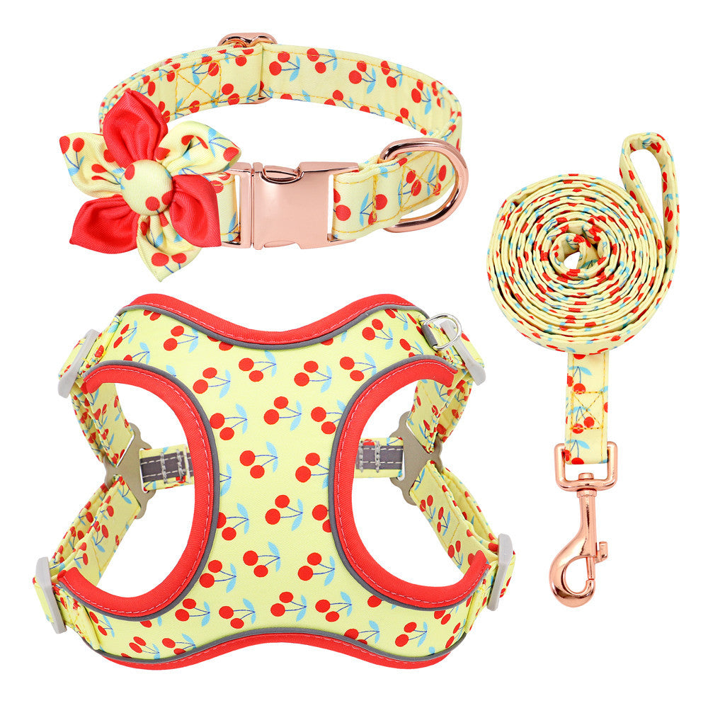 Dog Collar Lead and Harness