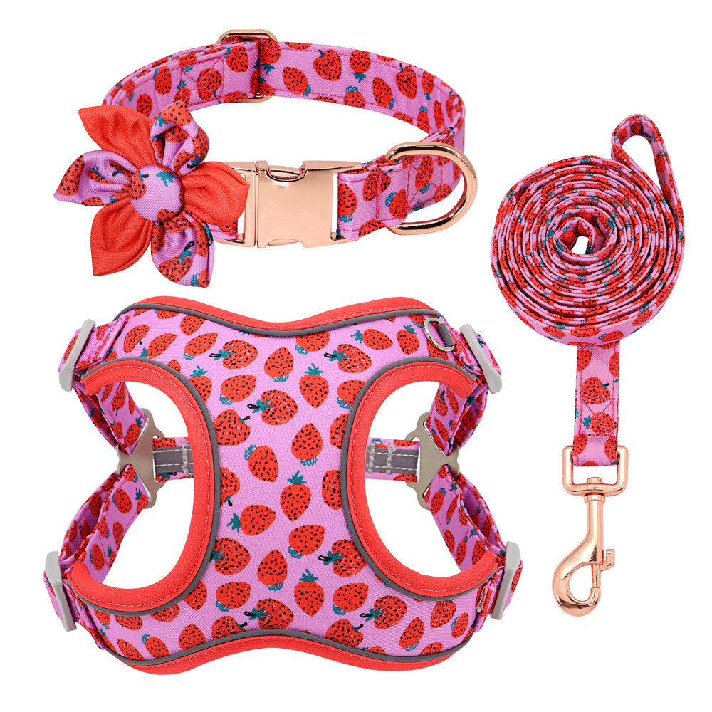 Dog Collar Lead and Harness