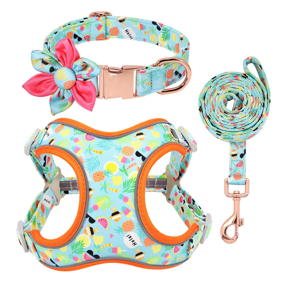 Dog Collar Lead and Harness